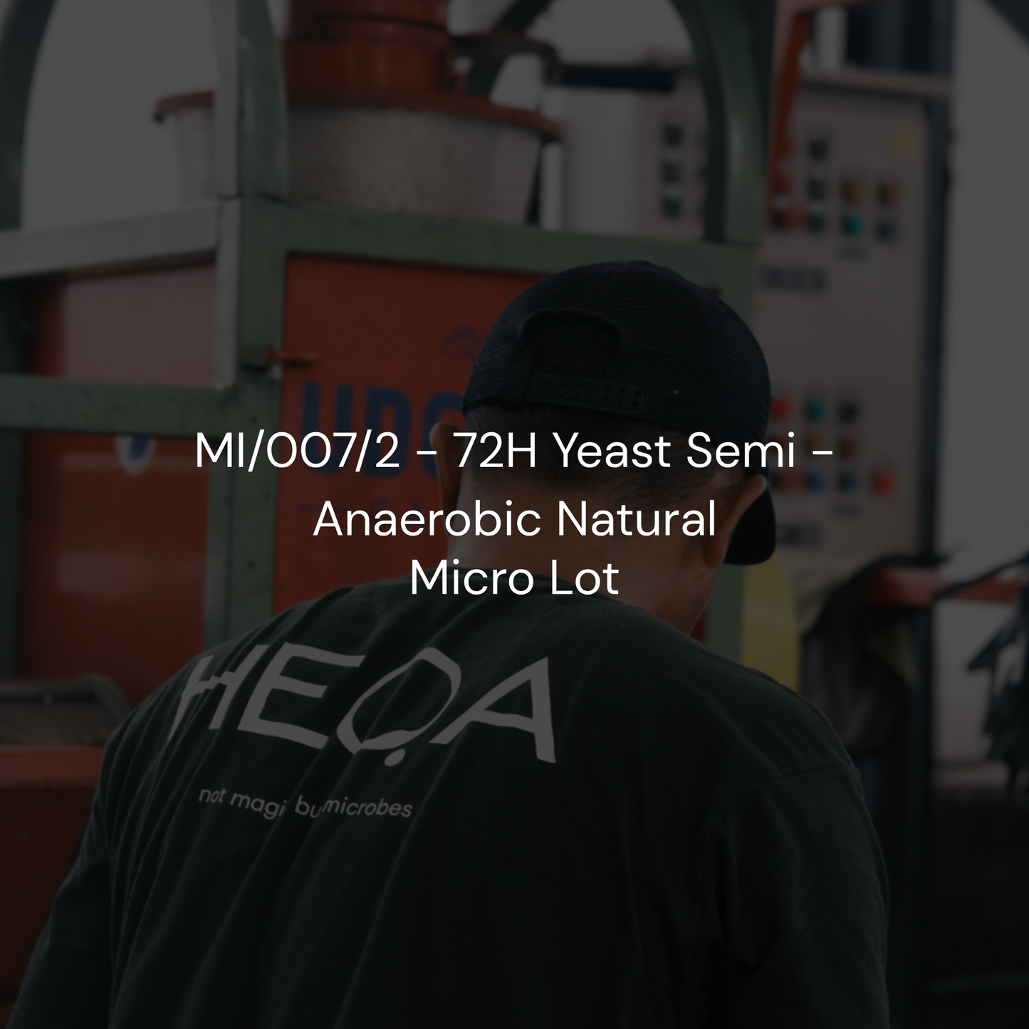 MI/007/2 - 72H Yeast Semi Anaerobic Natural