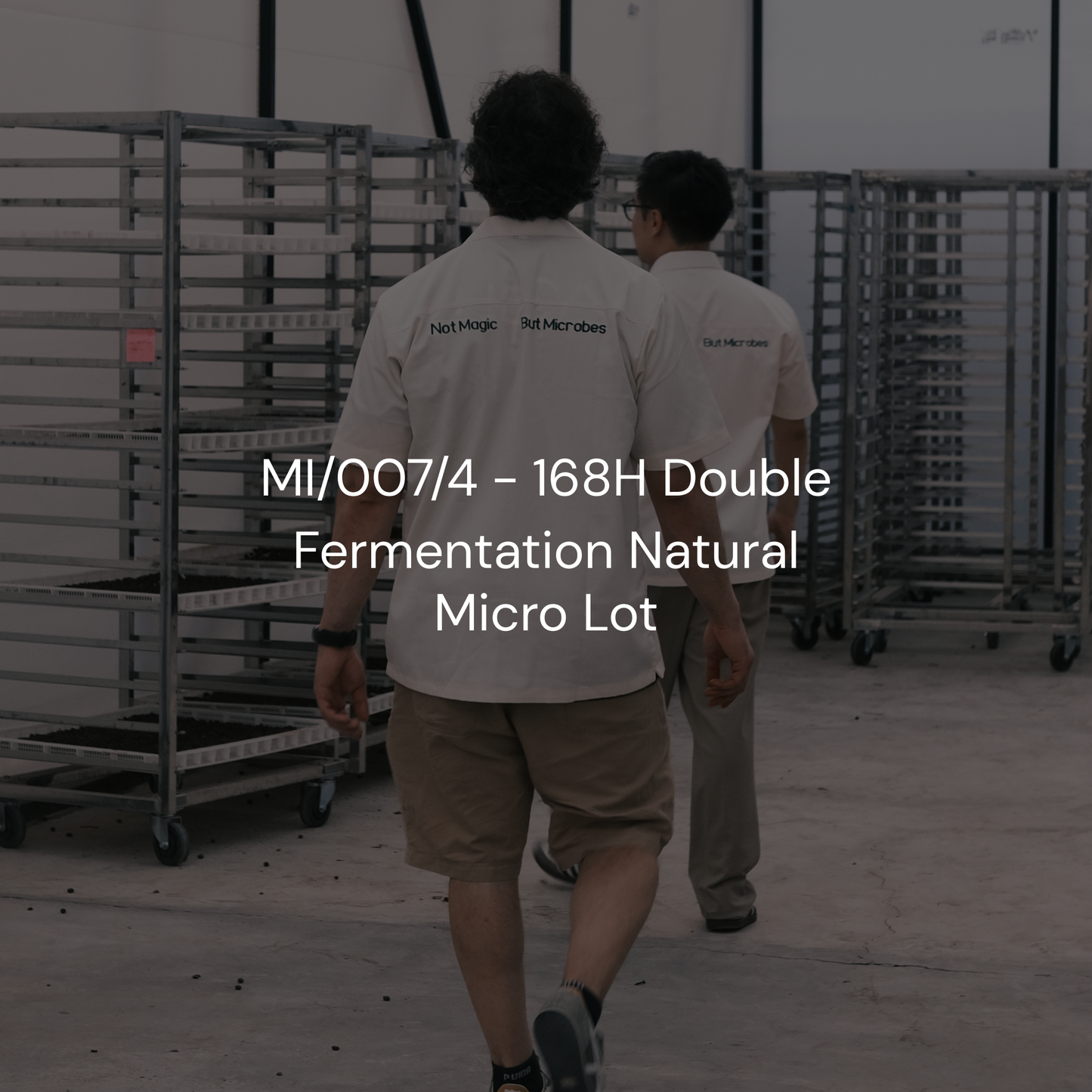 MI/007/4 - 168H Double Fermentation Natural