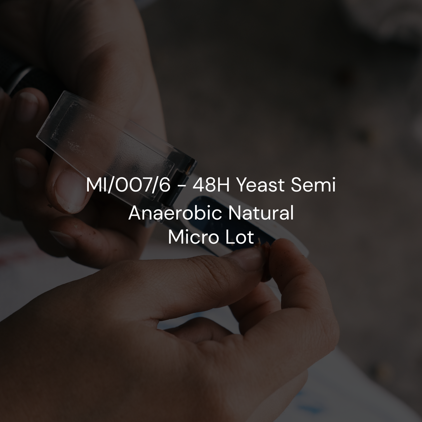 MI/007/6 - 48H Yeast Semi Anaerobic Natural