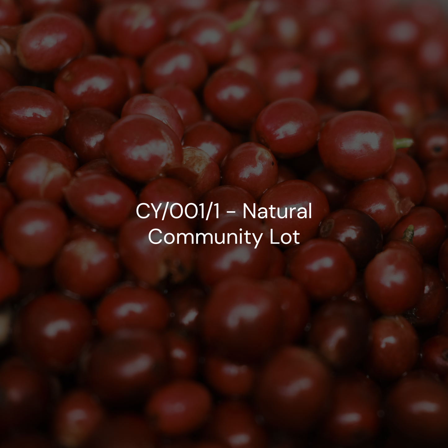 CY/001/1 - Natural