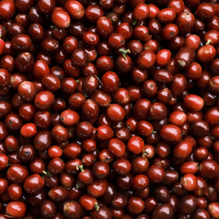 Cherry Sorting