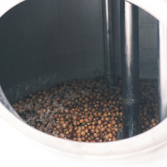 Fermentation & Processing