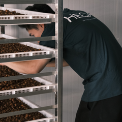 Controlled Drying & Resting