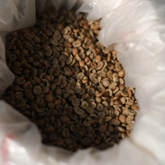 Packaging & Shipment