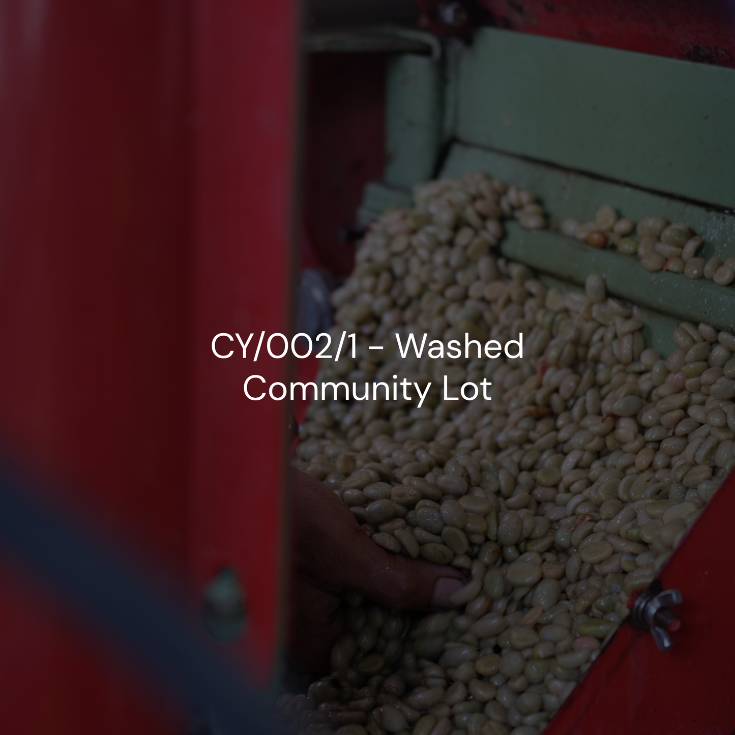 CY/002/1 - Washed