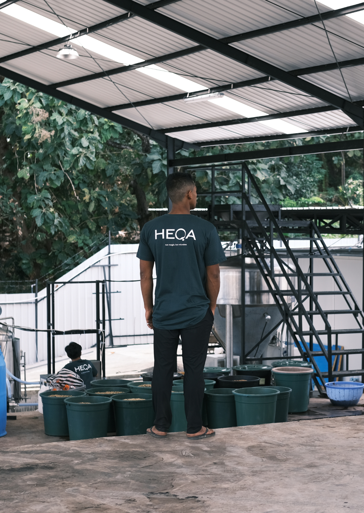 MI/010/1 - Aerobic Natural (Yellow Caturra)