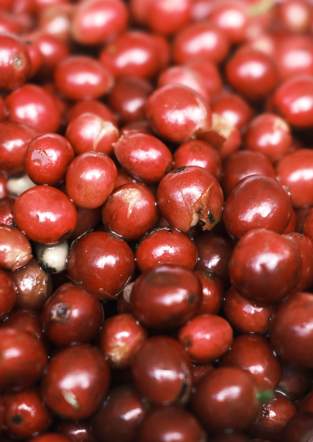 MI/004/1 - CM Natural