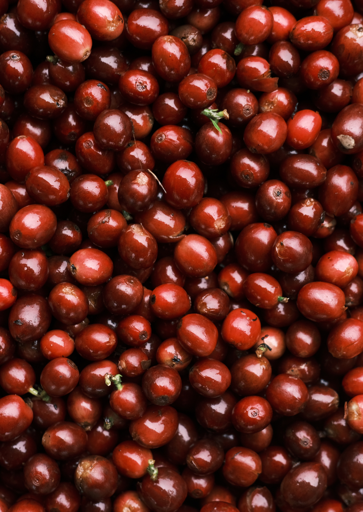 RE/003/1 - Pulped Natural