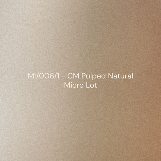 MI/006/1 - CM Pulped Natural