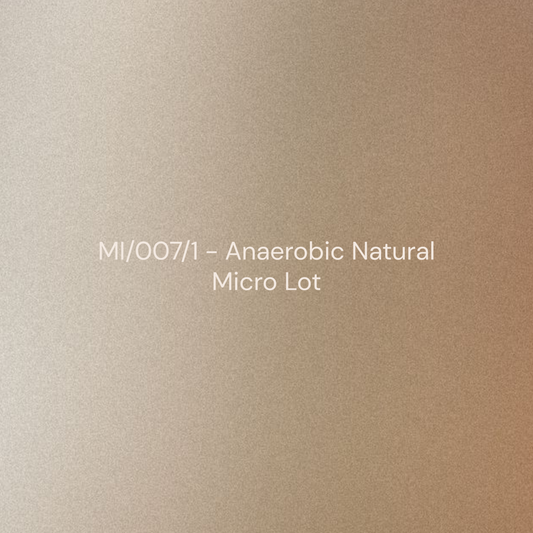 MI/007/1 - Anaerobic Natural