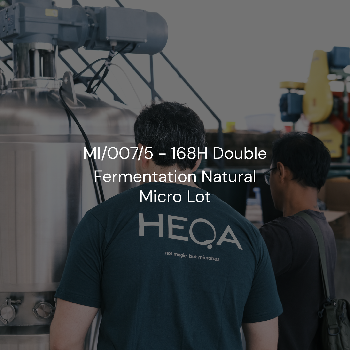 MI/007/5 - 168H Double Fermentation Natural