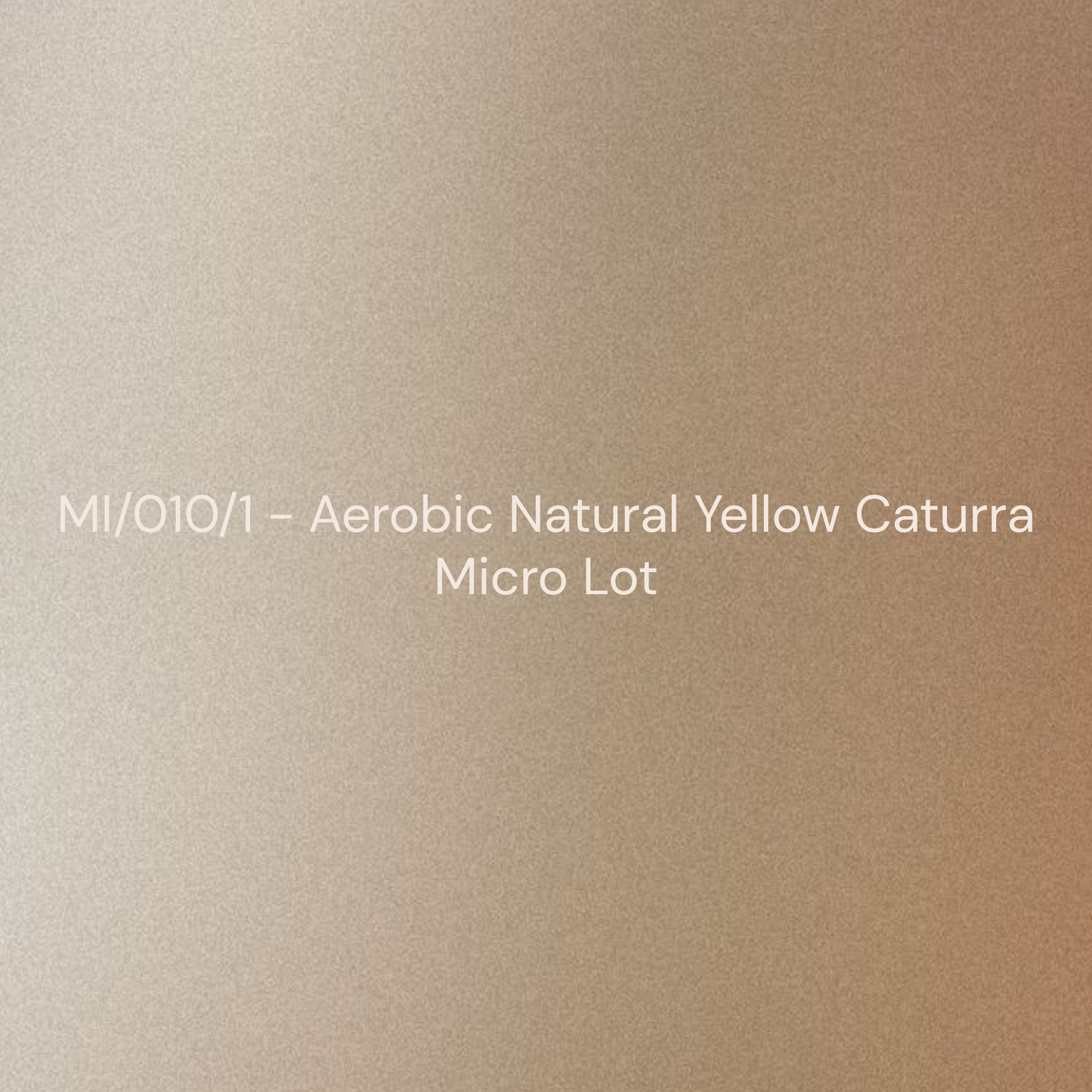 MI/010/1 - Aerobic Natural (Yellow Caturra)
