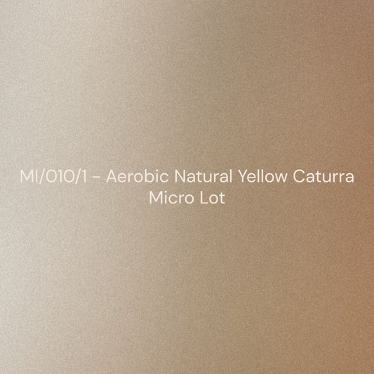 MI/010/1 - Aerobic Natural (Yellow Caturra)