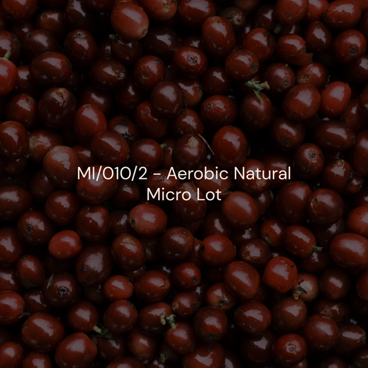 MI/010/2 - Aerobic Natural