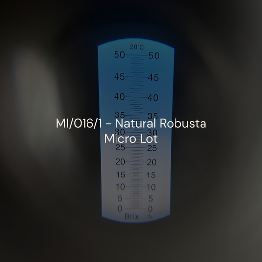 MI/016/1 - Natural (Robusta)
