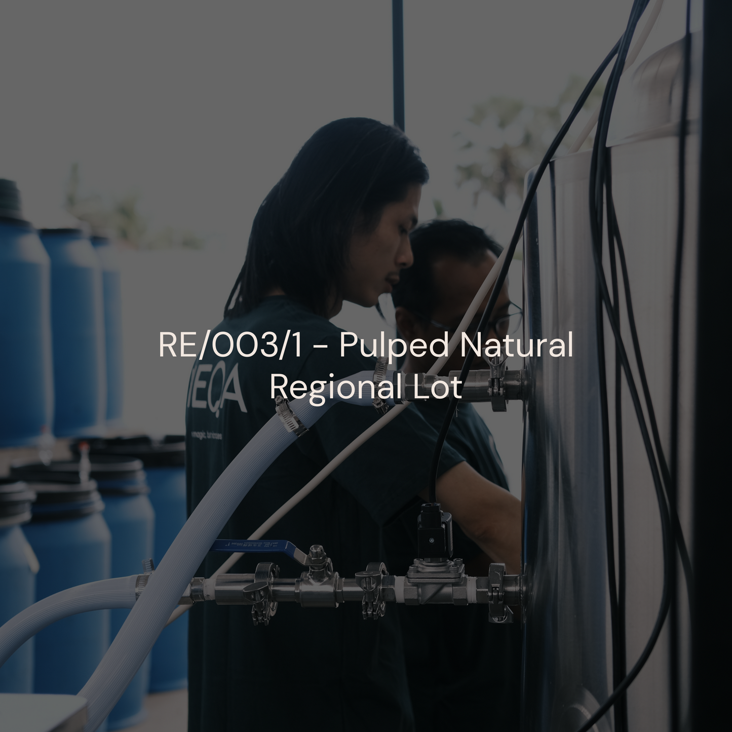 RE/003/1 - Pulped Natural