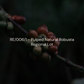 RE/006/1 - Pulped Natural (Robusta)